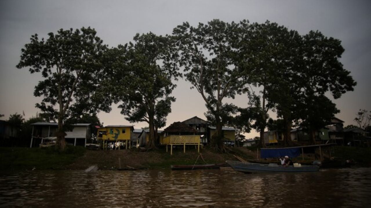 Amazonas Isla de Micos