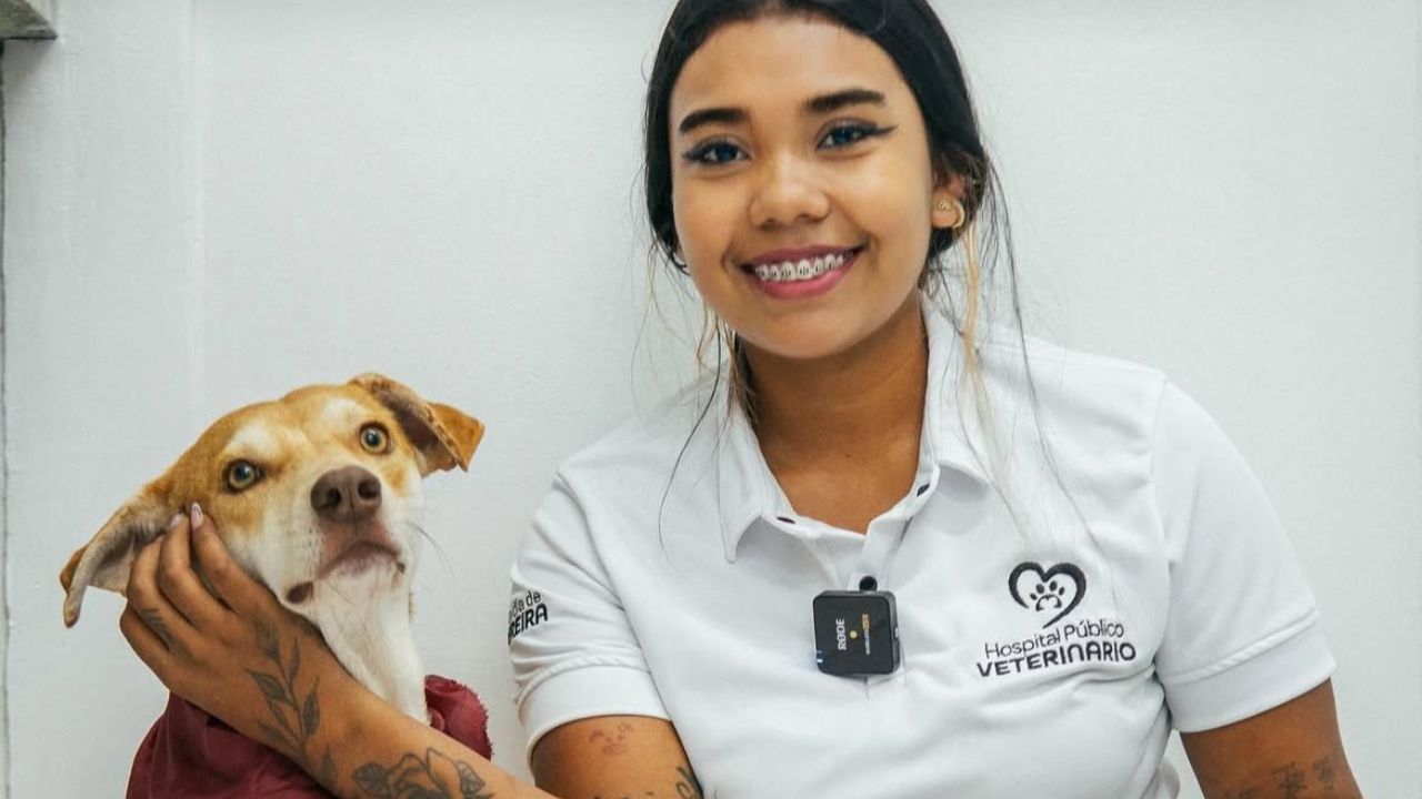 Atención de animales