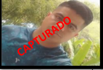 alias chinche