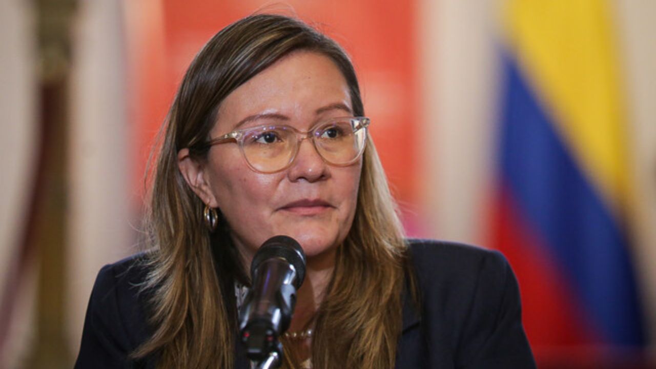 Cielo Rusinque, MIncomercio