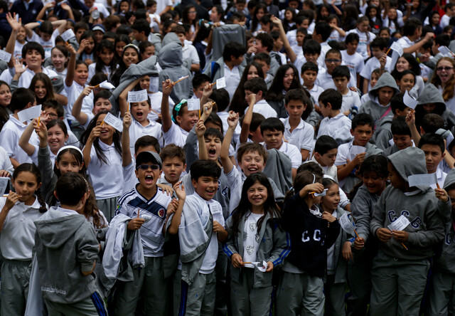Imagen de referencia