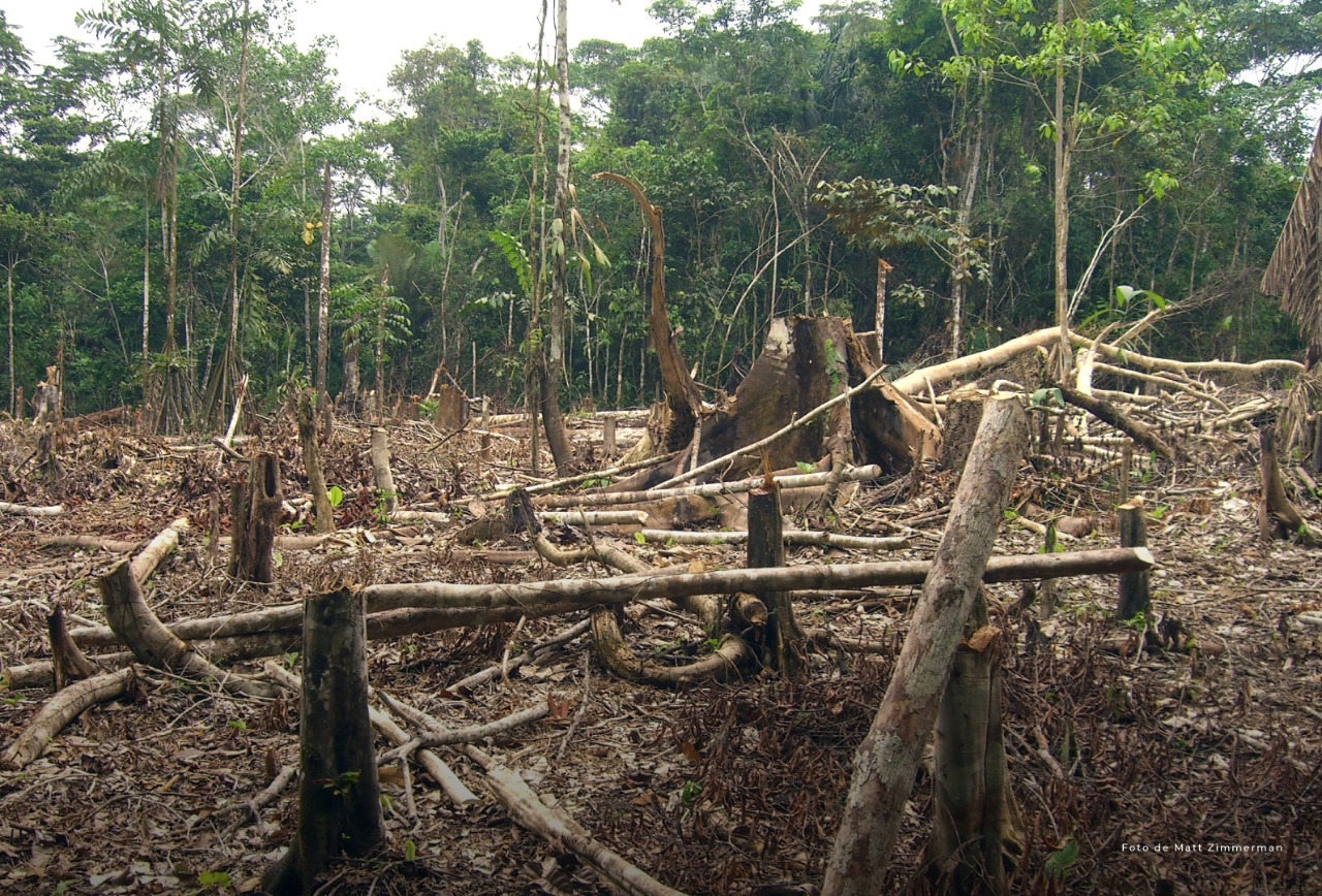 Deforestación en la Amazonía. Imagen ilustrativa.