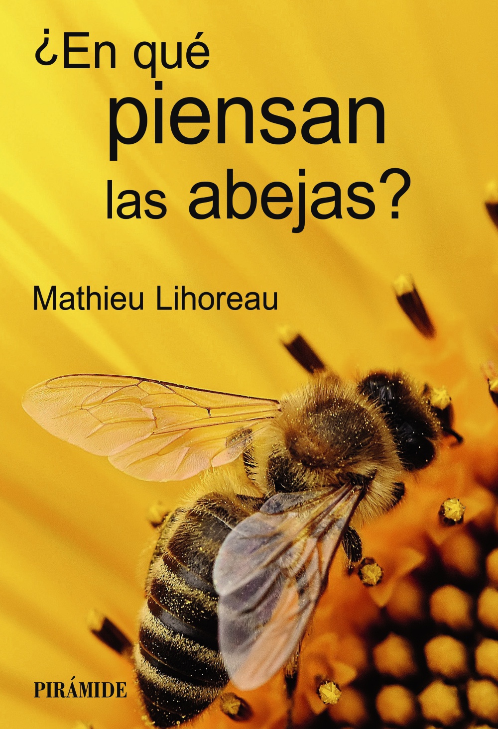 abejas