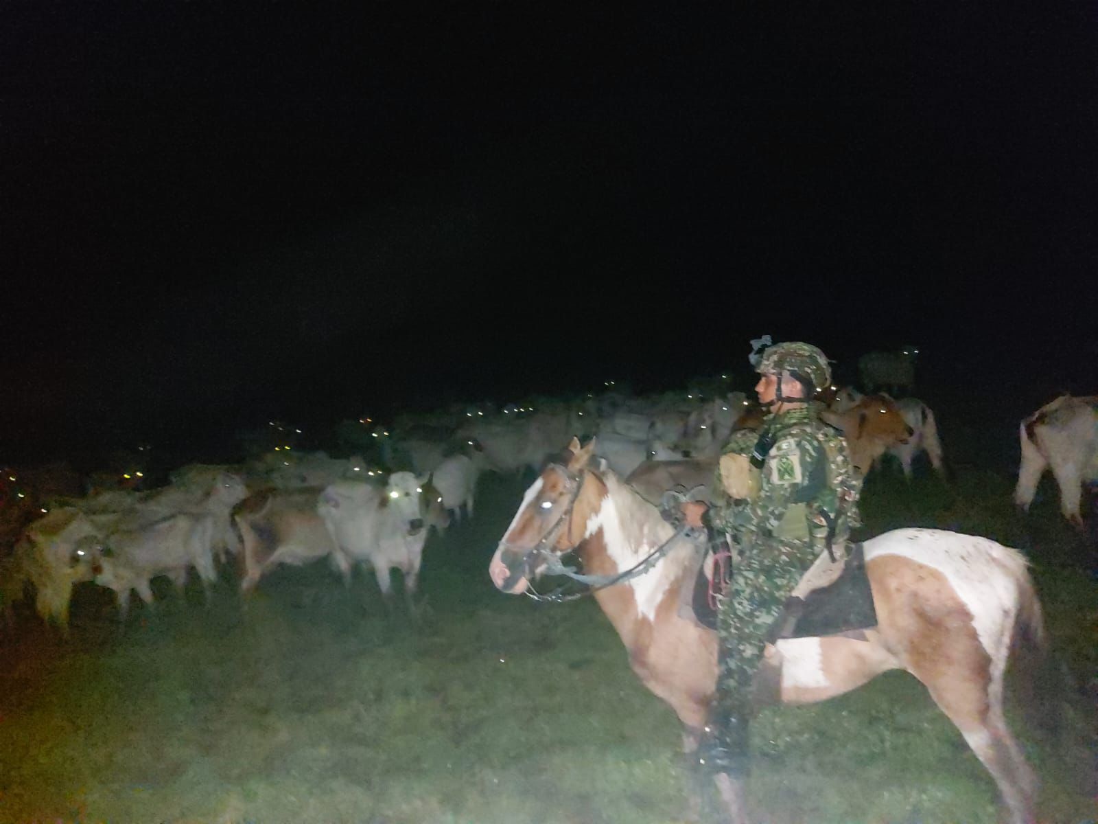 ganado