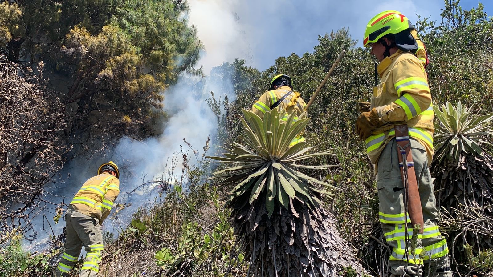 Bomberos