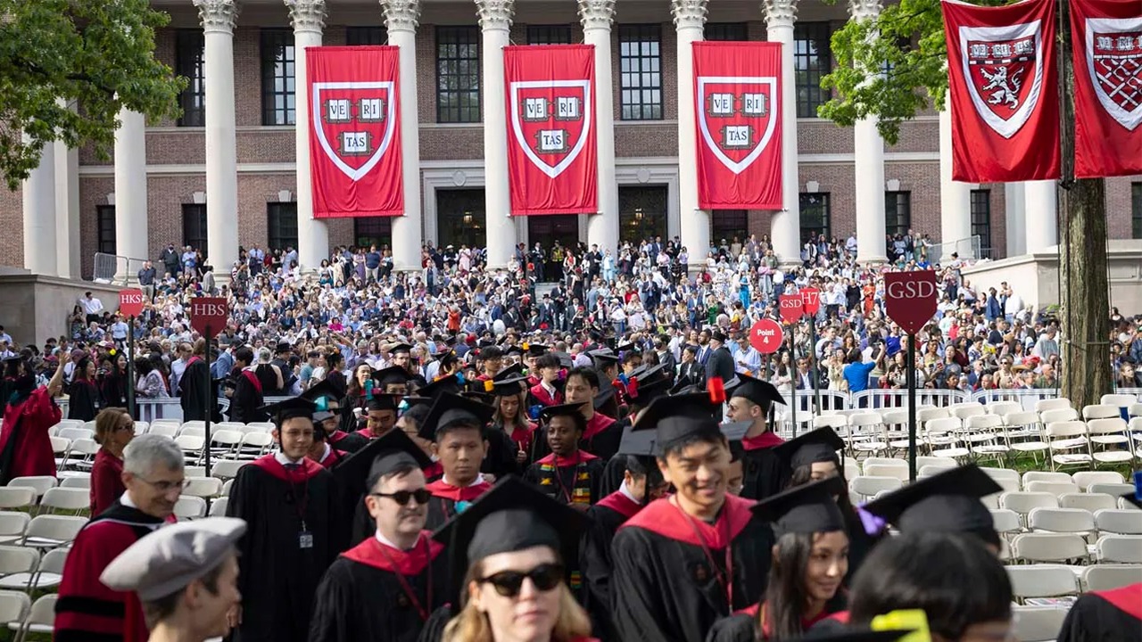 harvard