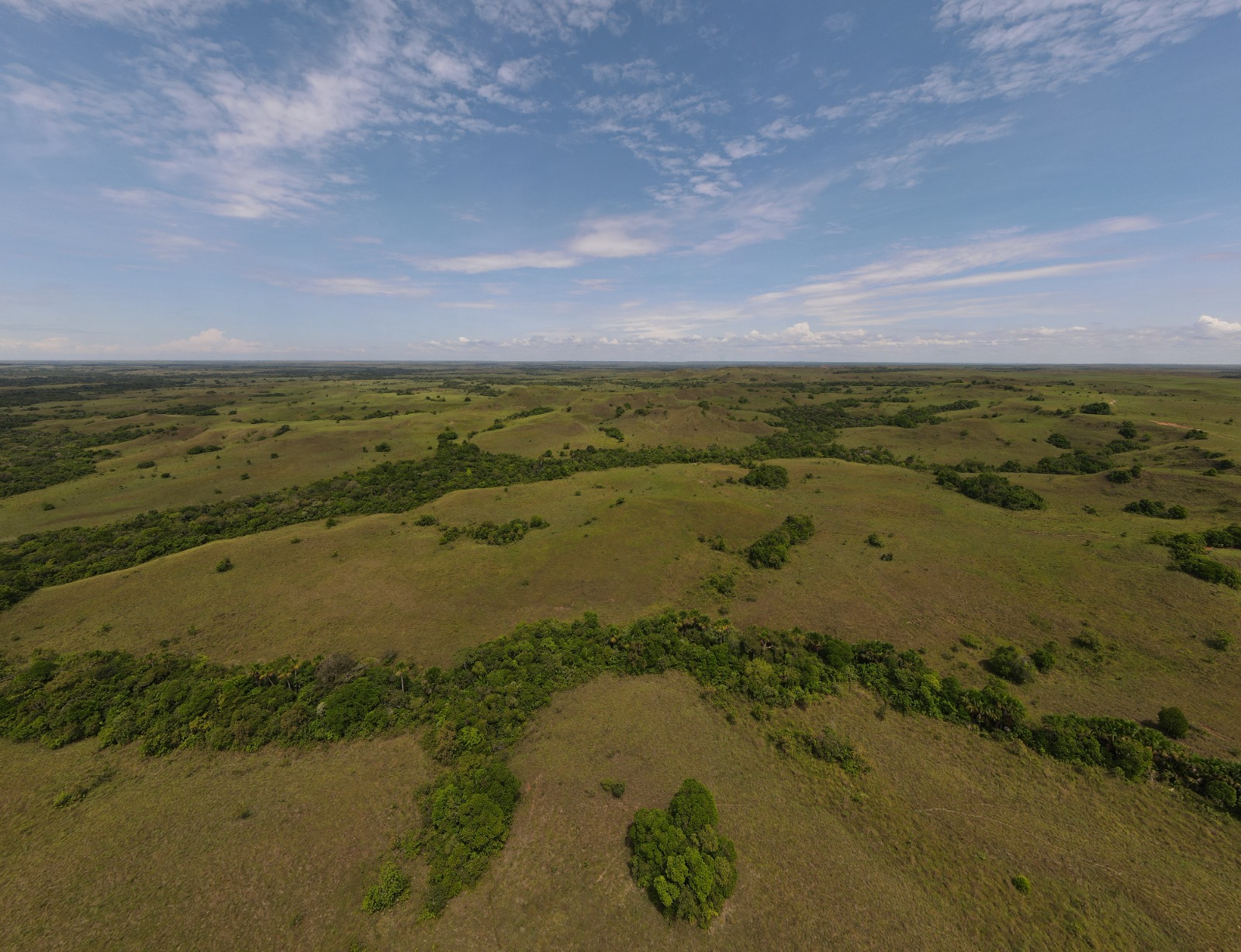 Foto del Parque Nacional Natural Manacacias