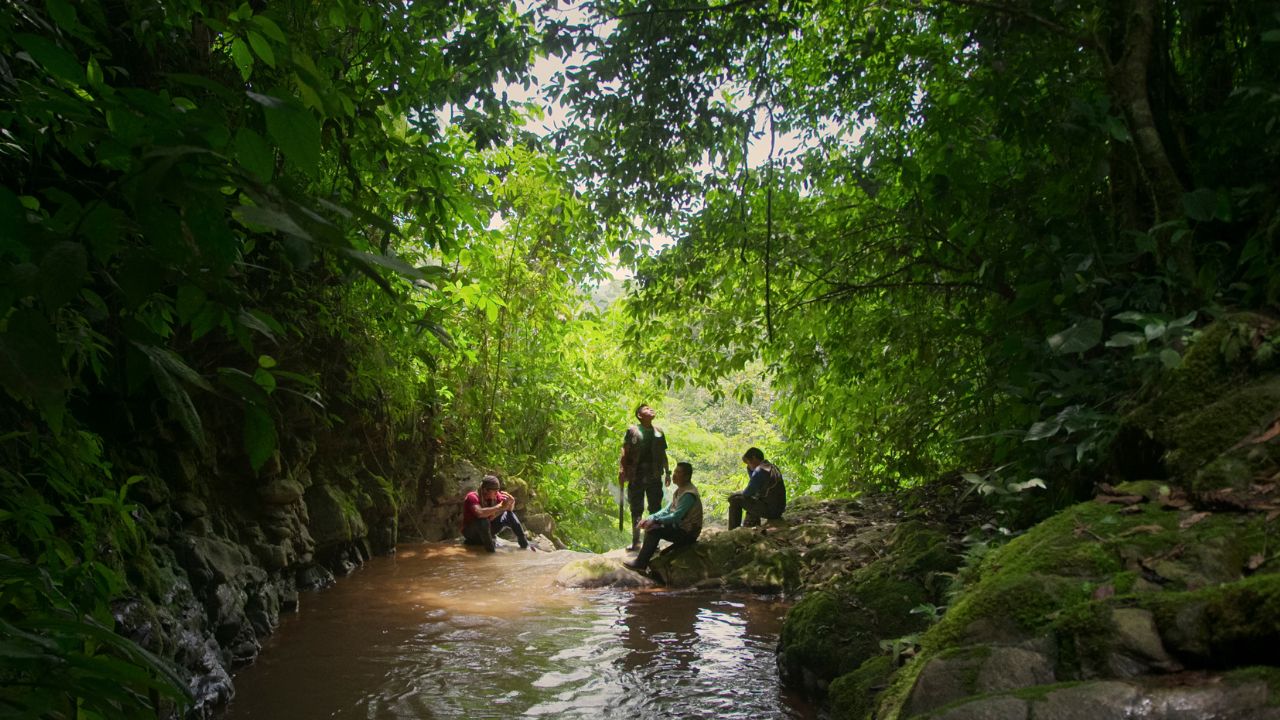Indígenas en la selva del Guaviare