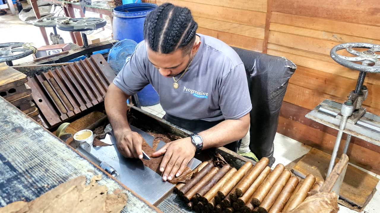 Manufactura de habanos o puros artesanales - tabaco