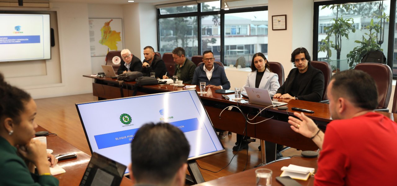 La regulación del sistema eléctrico colombiano está dividida entre funciones técnicas (CREG) y lineamientos políticos (Minenergía).