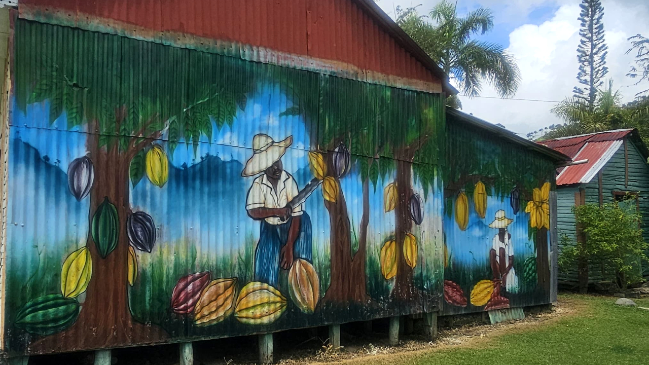 Mural plantacion cacao