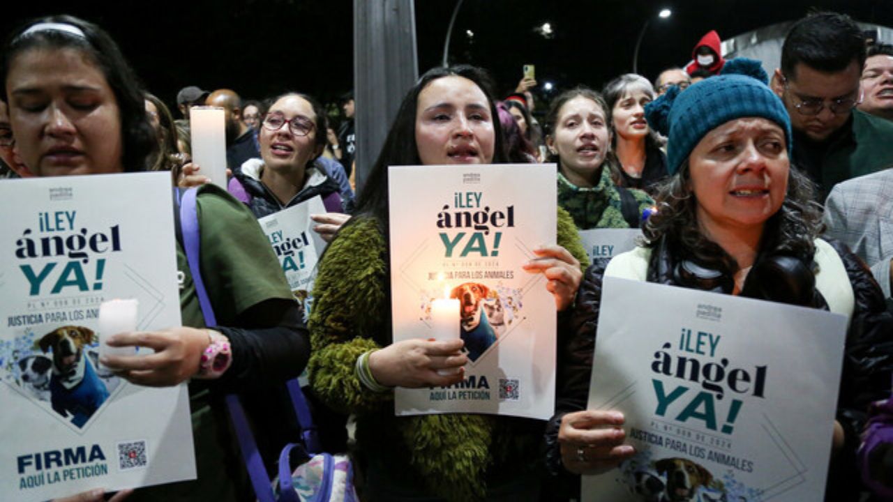 Organziaciones que apoyaron la ley Ángel