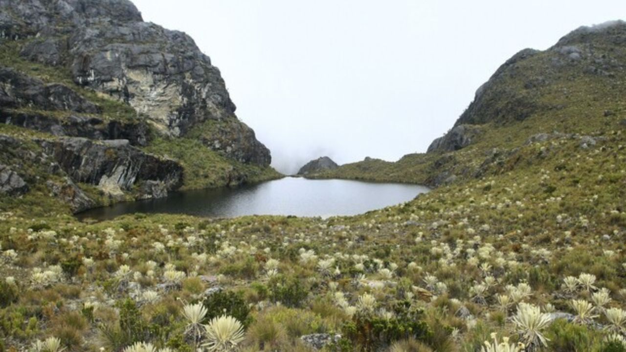 Protección Páramo de Santurbán