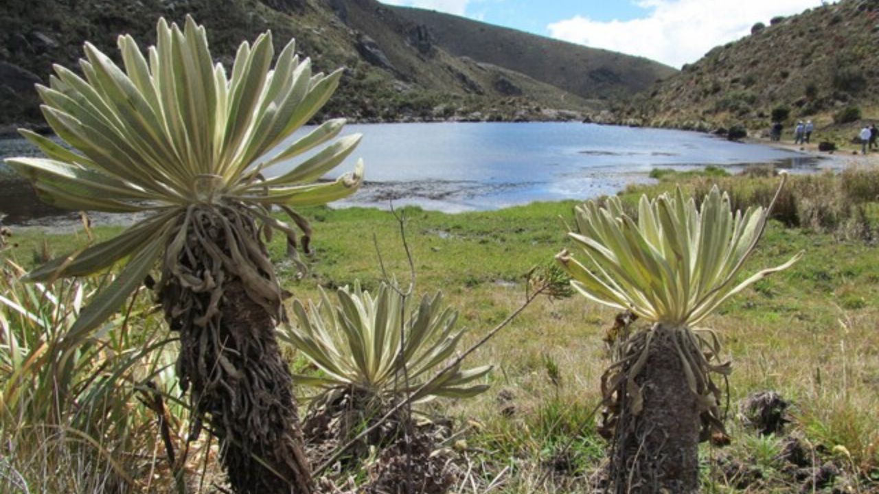 Protección Santurbán