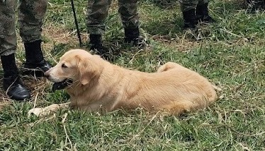 ejercito