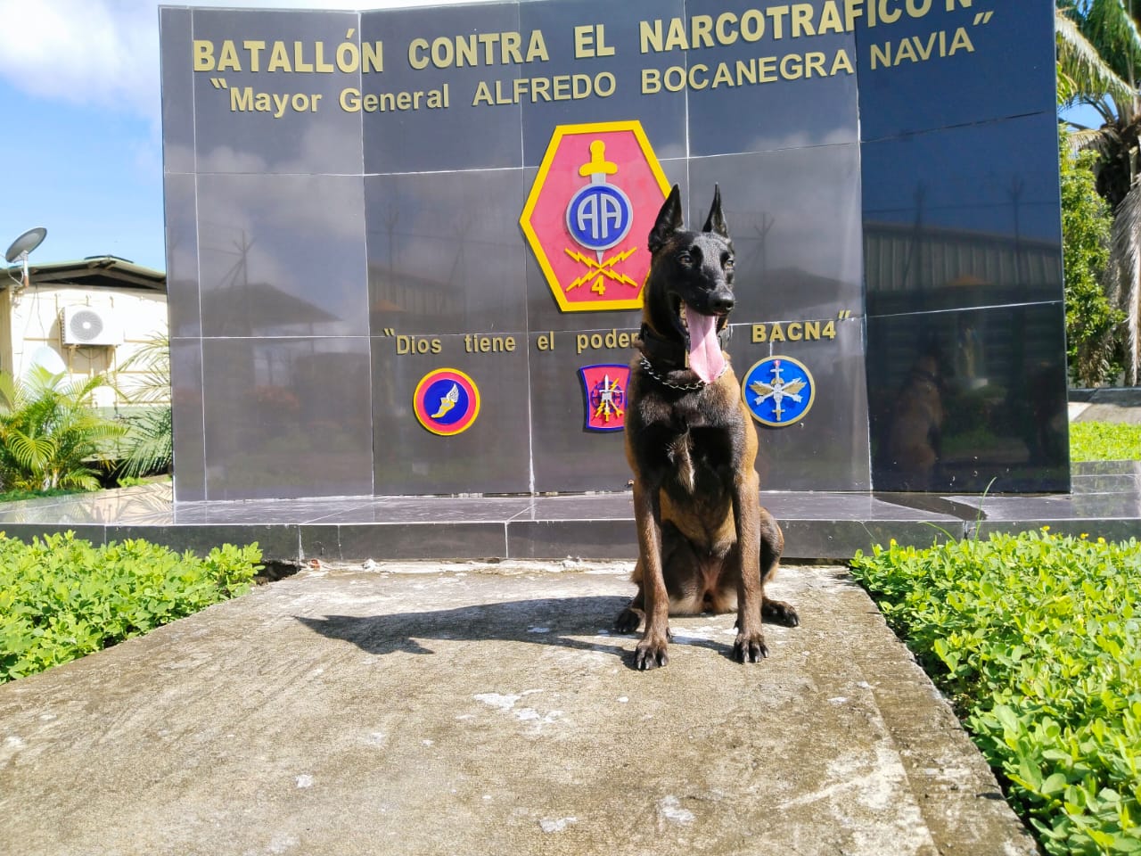 ejercito