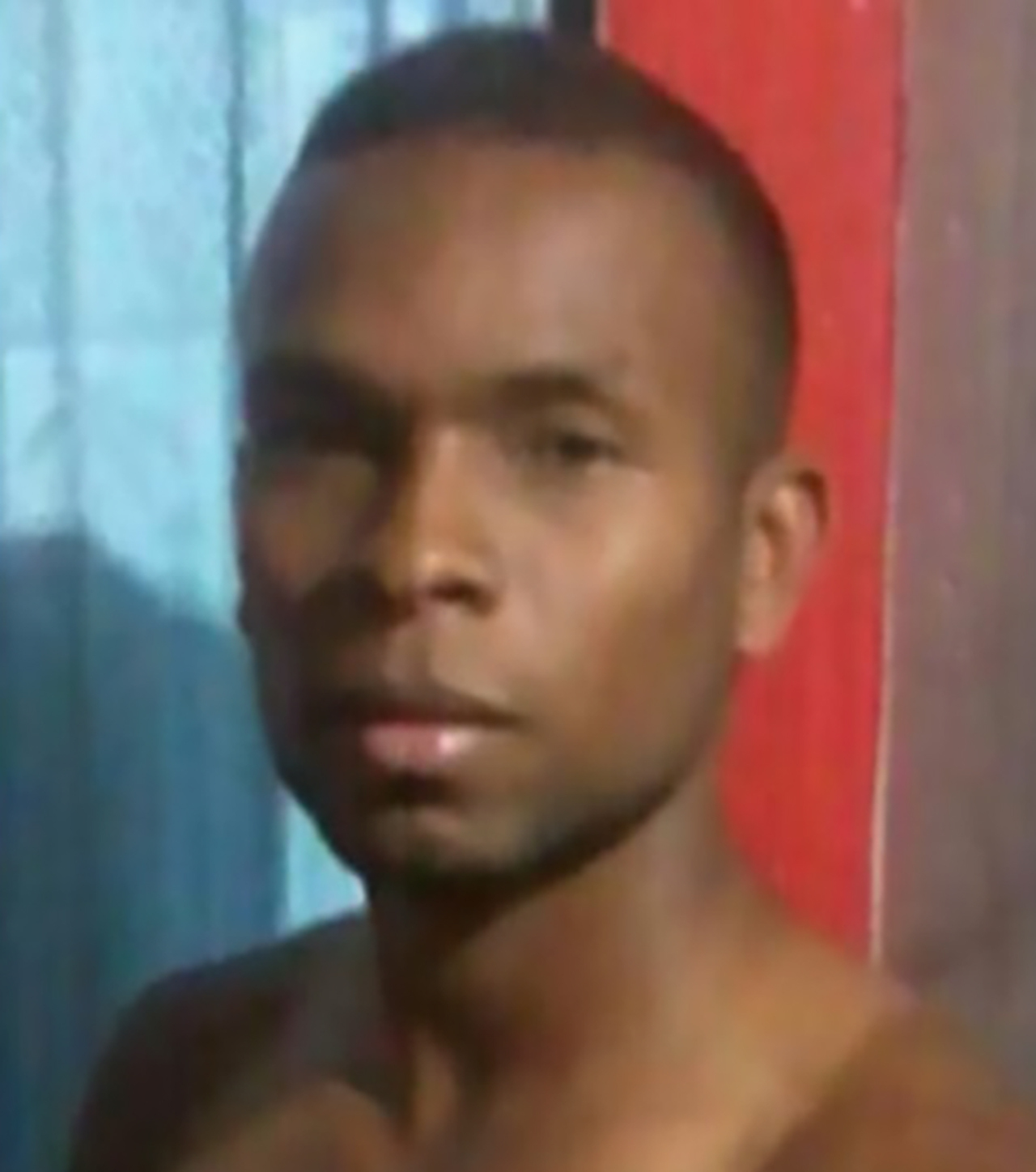 alias Wainer