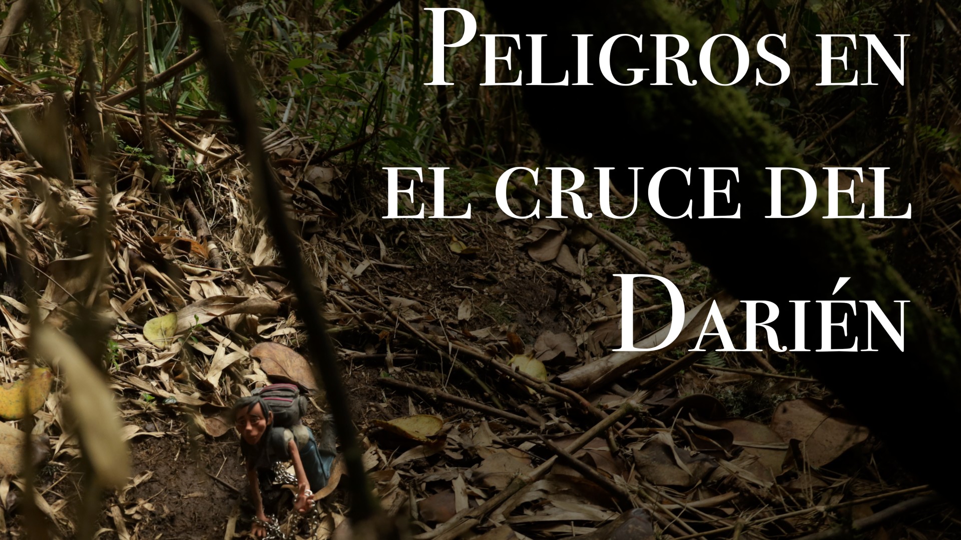 Usted también puede morir pasando el Darién estos son los peligros