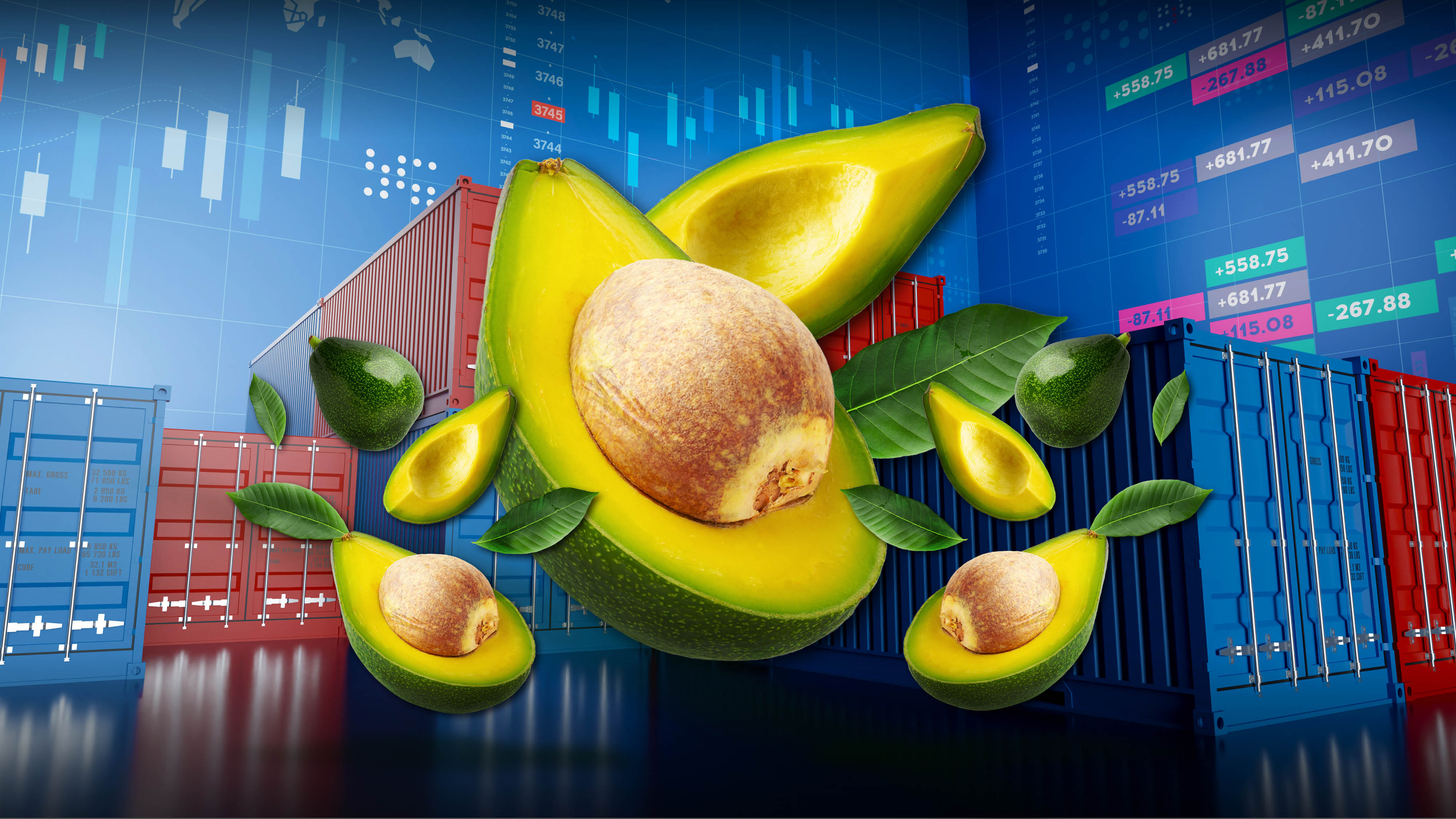 Colombia es el segundo cultivador mundial de aguacates Cambio Colombia