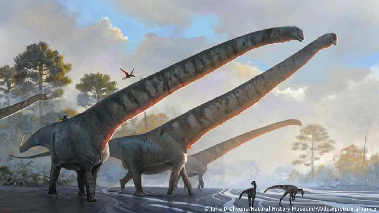 Hallan en China fósiles de dinosaurio que tenía cuello de 15 metros, el más largo jamás descubierto | Cambio Colombia Hallan en China fósiles de dinosaurio que tenía cuello de 15 metros, el más largo jamás descubierto | Cambio Colombia