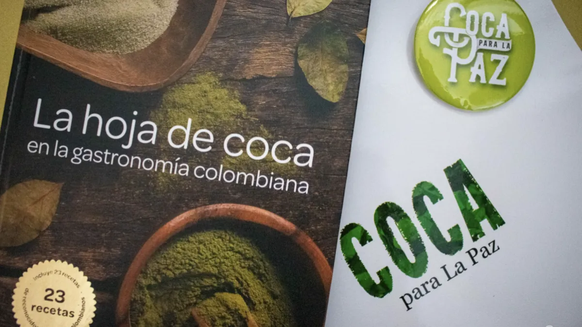 Redefiniendo el significado de la hoja de coca Cambio Colombia