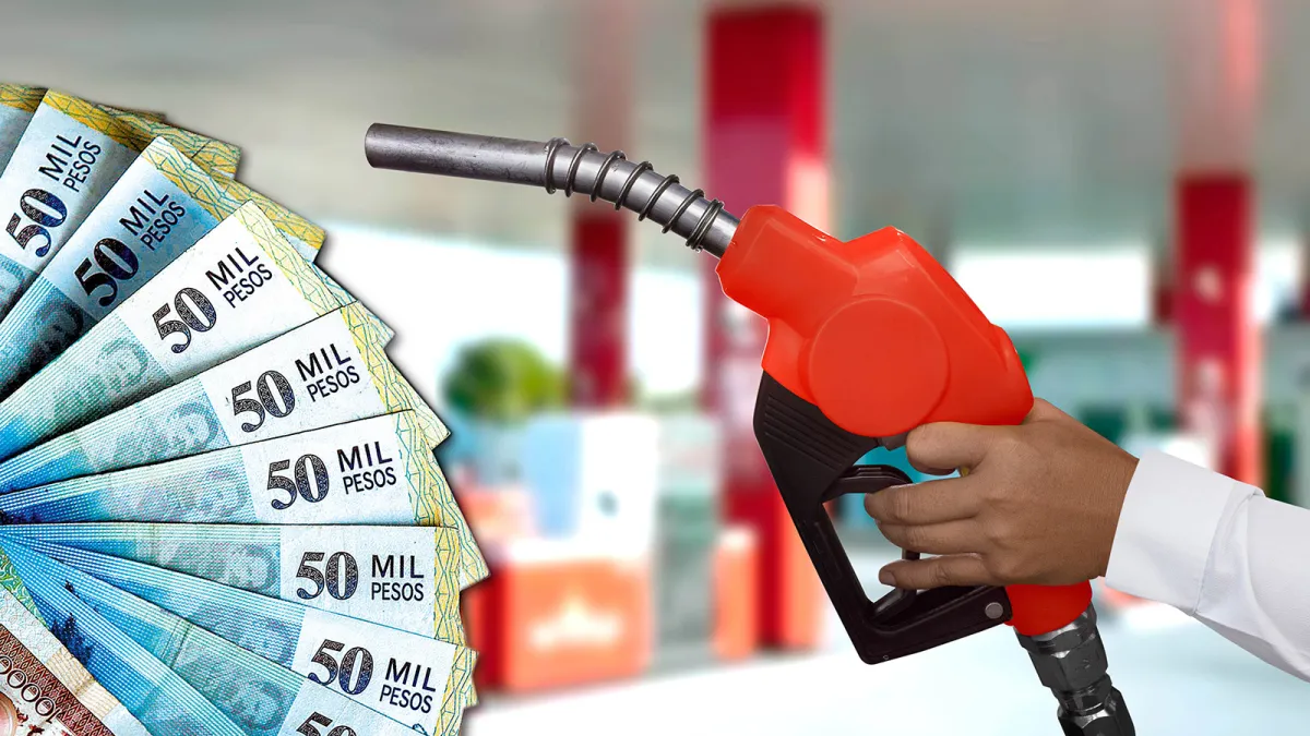 ¿Cuáles son las alternativas para no quitar el subsidio a los combustibles?