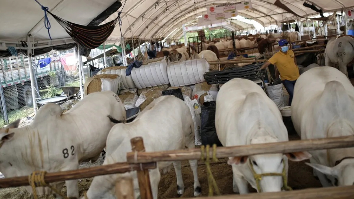 Los residuos agrícolas suplirían más del 92 por ciento de la necesidad energética de Colombia