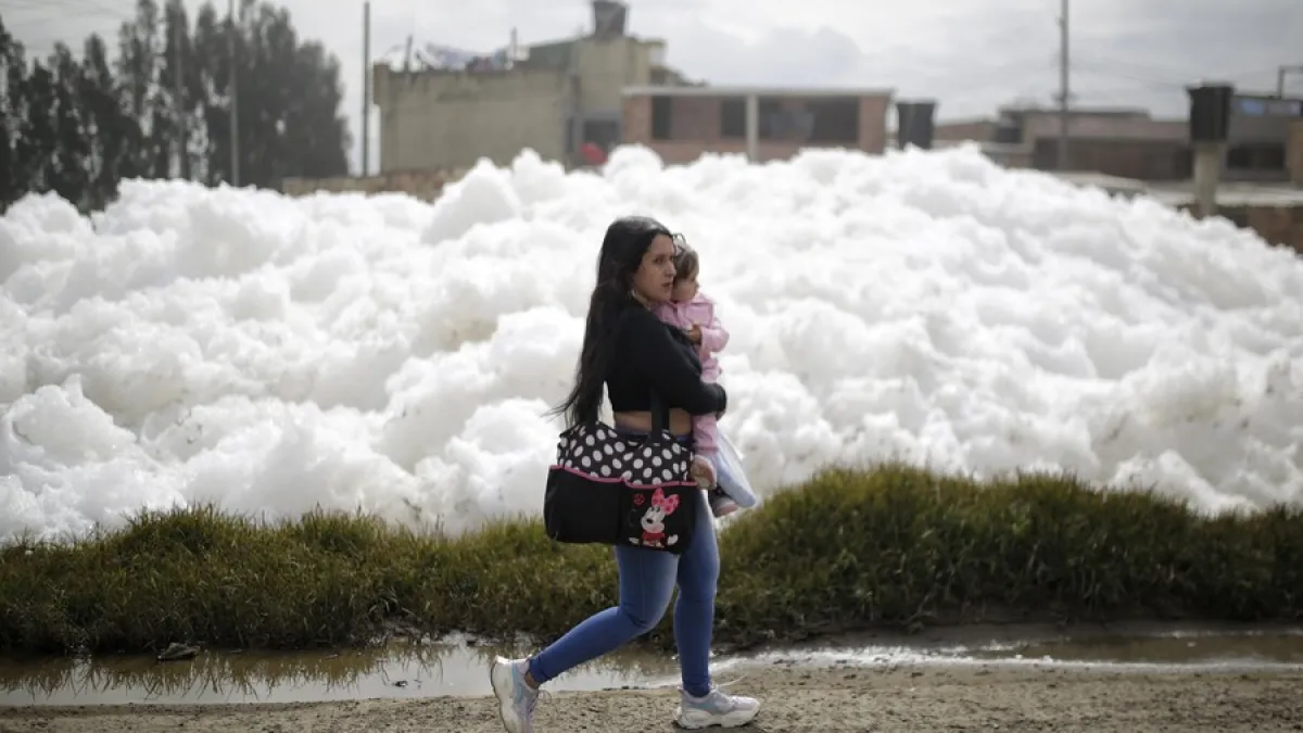 Por cuidado del cambio climático, Tribunal de Cundinamarca falla demanda contra la Presidencia y MinAmbiente