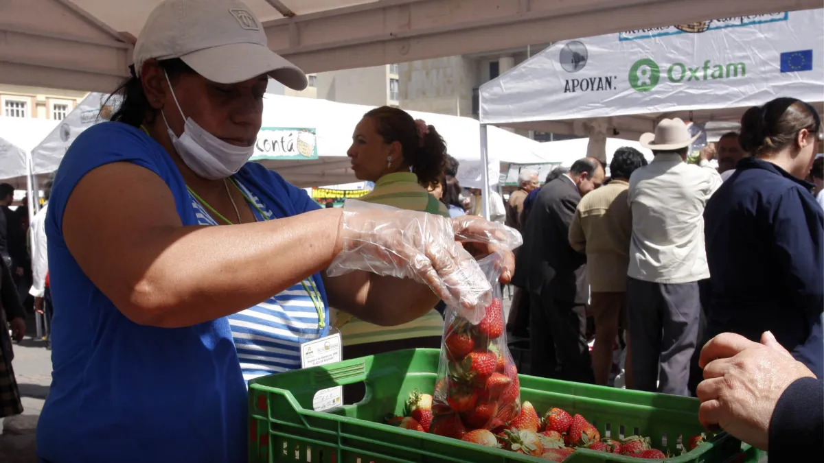 El Plan de Desarrollo y su estrategia para incluir a la economía popular