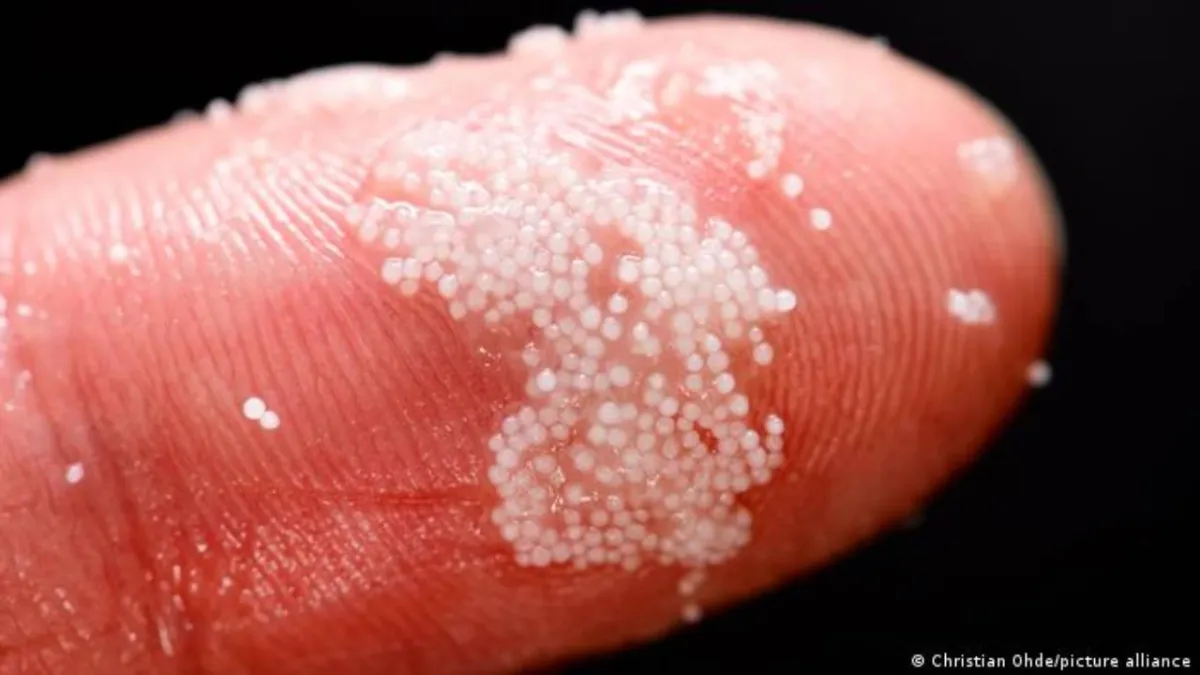 Detectan microplásticos utilizados en envases alimentarios en el cerebro dos horas después de la ingestión