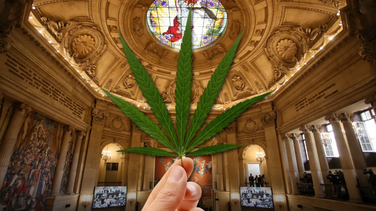 El debate del cannabis se llenó de trabas en el Senado