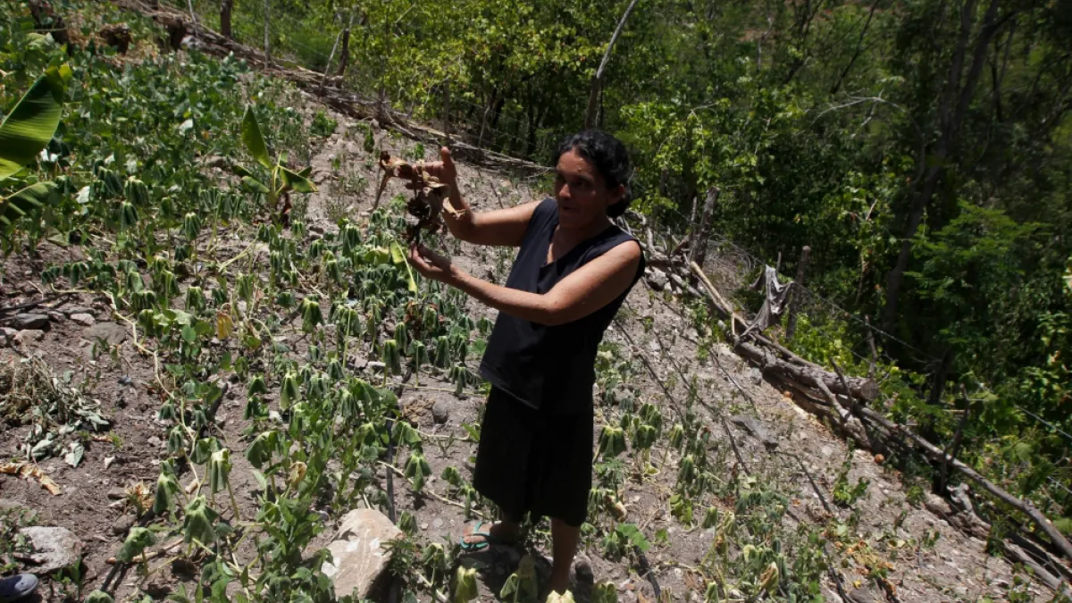 Honduras impone racionamientos de energía eléctrica por sequía