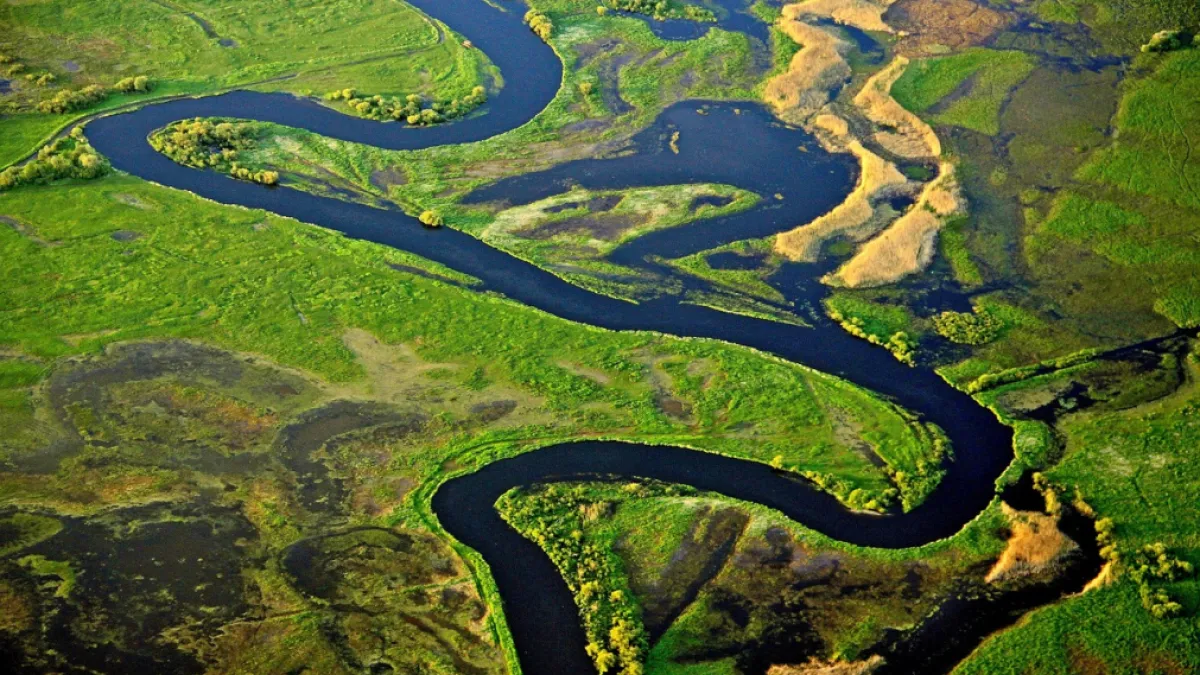 Países amazónicos decididos a preservar su selva