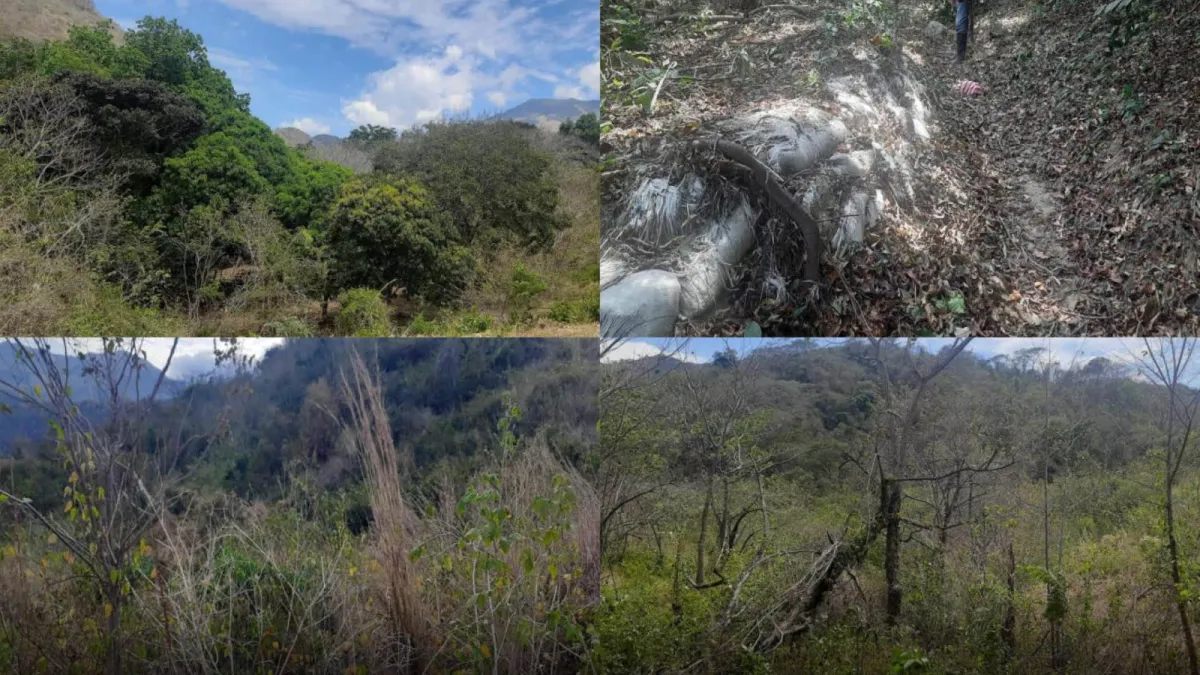 La Grosería: la finca que el Estado quiere comprar aunque más de la mitad del terreno sea improductivo