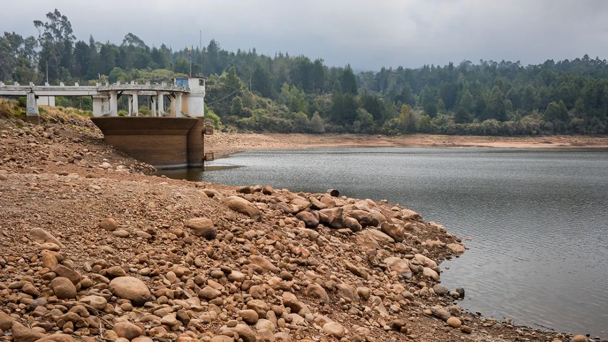 El cambio climático no da espera: la cruzada de Colombia y Chile ante la Corte IDH