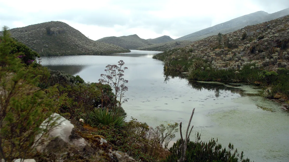 Historia del agua en Bogotá: de la abundancia a la escasez