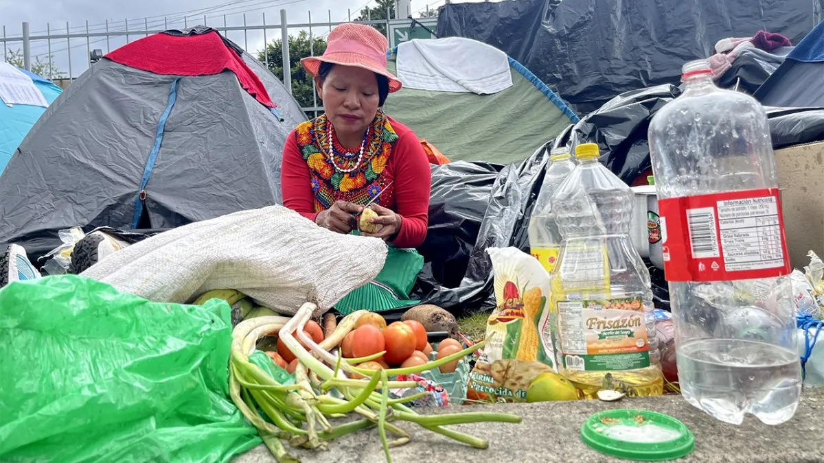 ¿Qué hay en el fondo de las recurrentes mingas embera en Bogotá? 