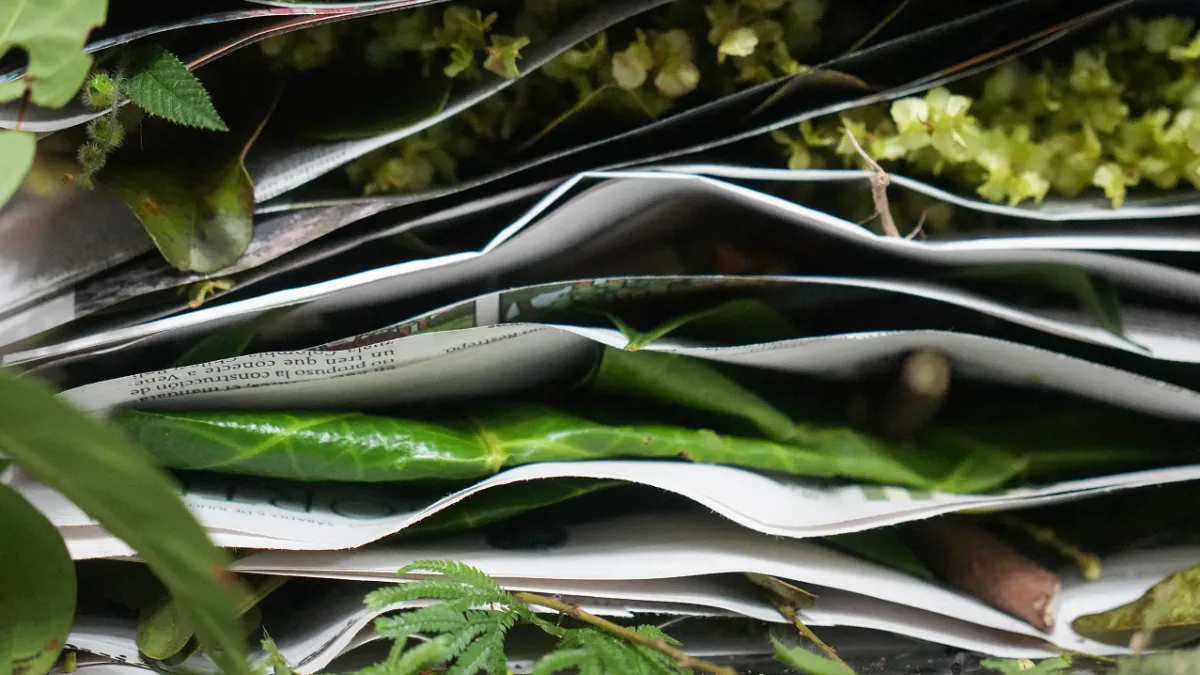 La sala de los tesoros de la Amazonía: el herbario que resguarda más de 130.000 ejemplares botánicos y 10.000 especies