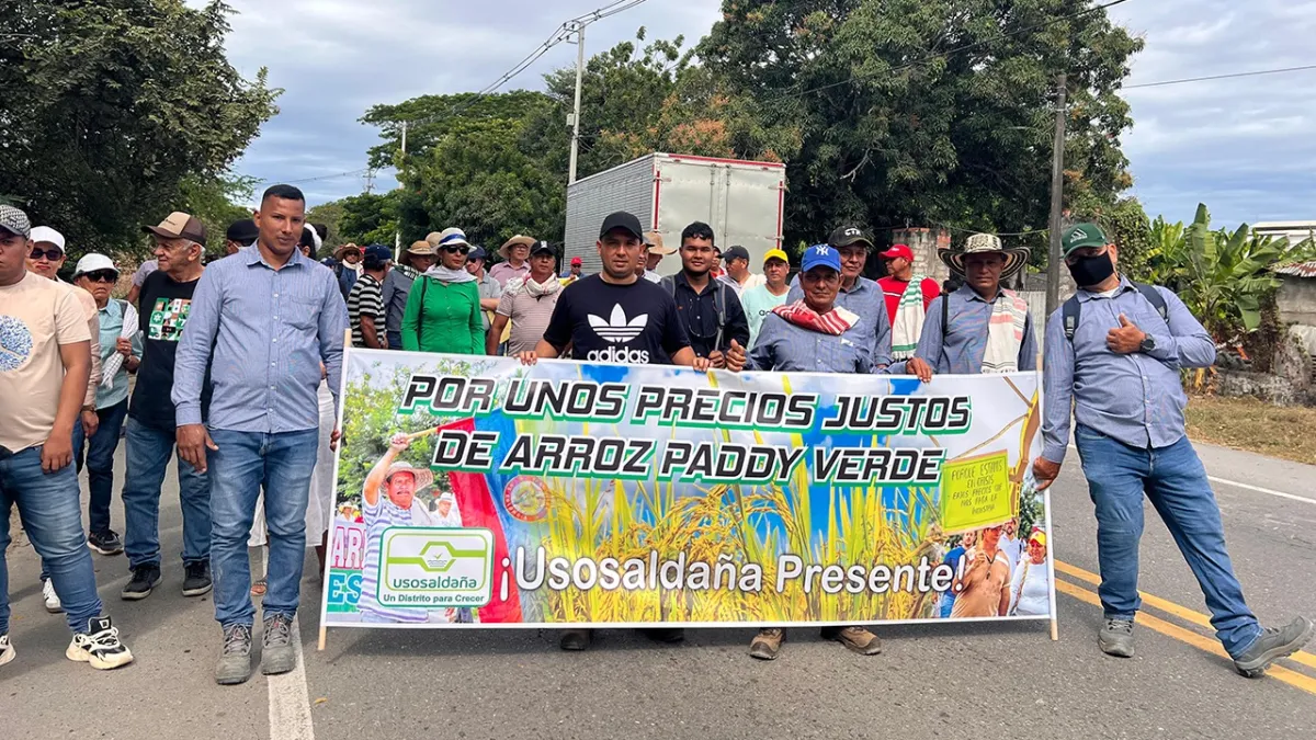 Los desafíos para brindar una solución de fondo a los arroceros