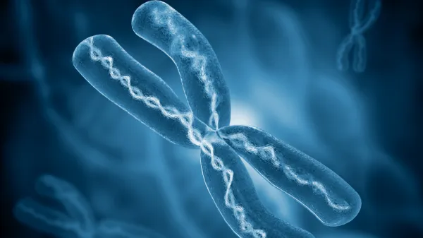 Descifran el cromosoma 'Y', la última pieza del genoma humano