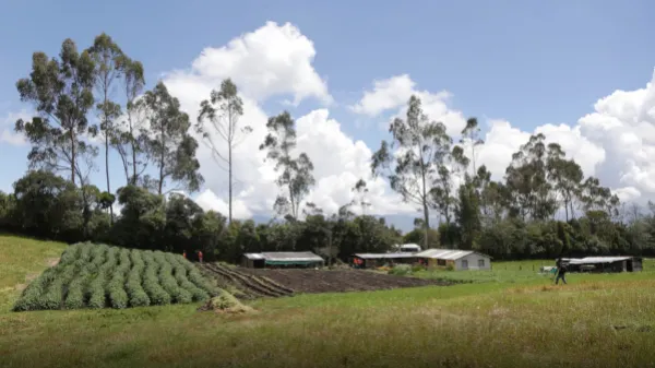 Tinajas: la finca prometida y luego arrebatada a familias en el Cauca