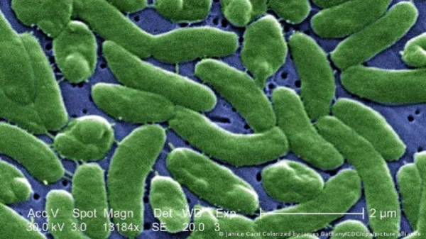 Alerta en Estados Unidos por infecciones con "bacteria carnívora"