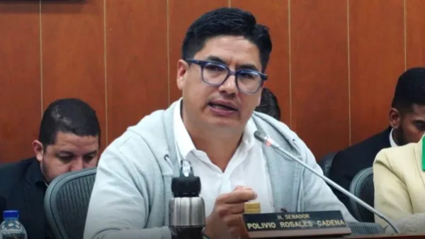 Consejo de Estado anula la elección de otro congresista cercano al Pacto Histórico