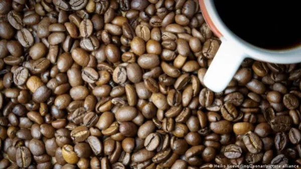 Una empresa lanzó el primer café sin grano del mundo, en busca de producción sustentable