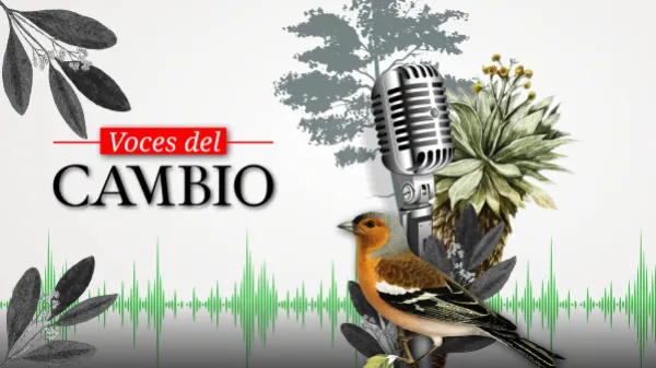 Voces, alianzas y acciones ciudadanas: 25 años del Foro Nacional Ambiental FNA 