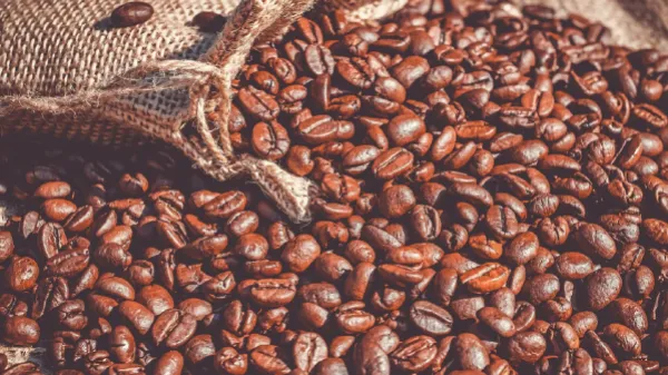 Colombia apunta a incrementar su producción de café en los próximos cuatro años a 16 millones de bultos