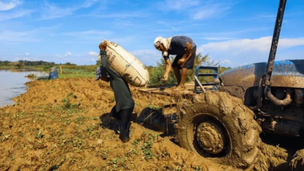 Cómo funcionarán las zonas de reserva campesina en reservas forestales que aprobó el Gobierno