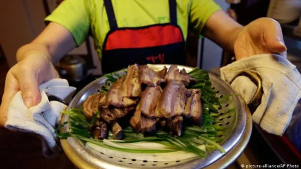 Corea del Sur pone fin a tradición de comer carne de perro