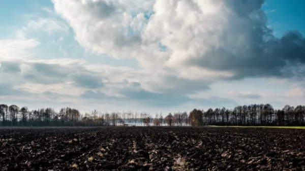 Cambio climático, responsable de sequía récord de la selva amazónica: estudio