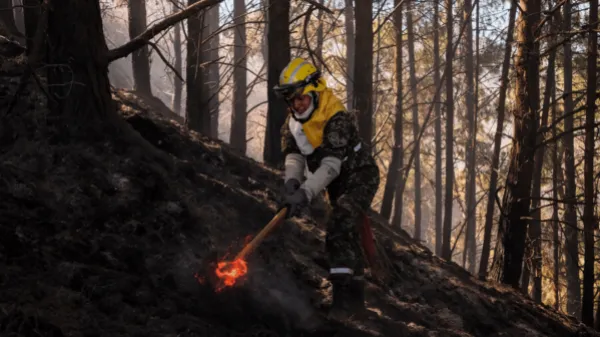 Incendios en Bogotá: estas son las zonas de la capital que sufren quemas forestales